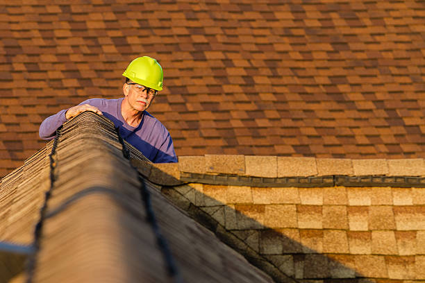 Best Roof Gutter Cleaning  in Olmsted Falls, OH